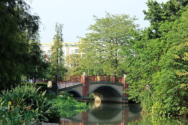 ��ɫ����