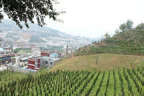 ����������