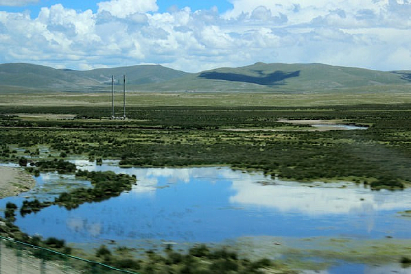 ��������