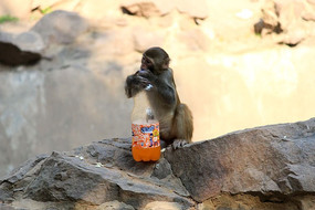 ������ͼƬ