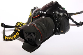 �῵�����