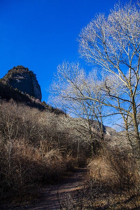 ��ɽ����