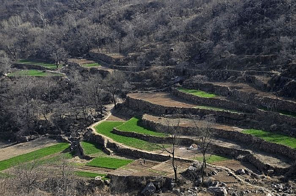 ��������