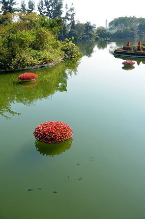 �����ٲ�