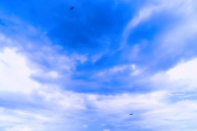 ����Ԫ��