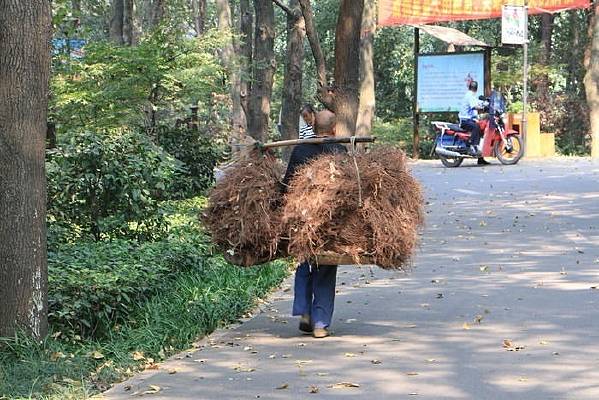 �����Ͷ�