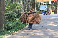 �����Ͷ�