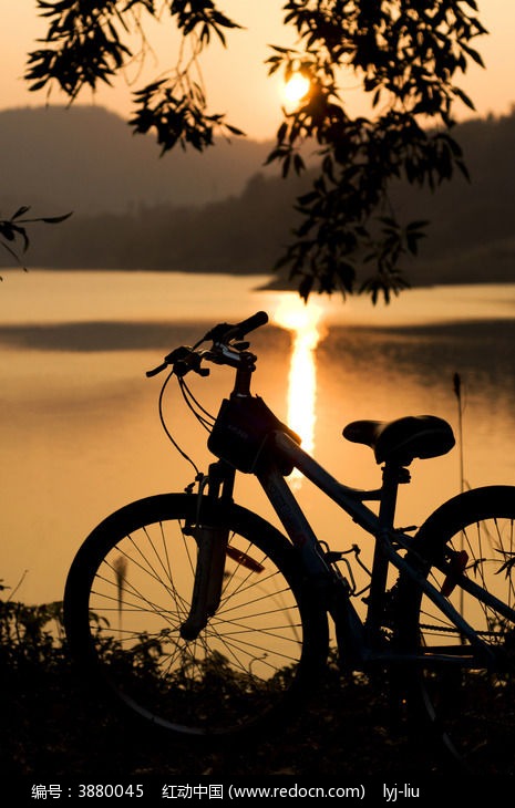 自行车图片大全清晰图 xiyangyudanche_3880045.jpg
