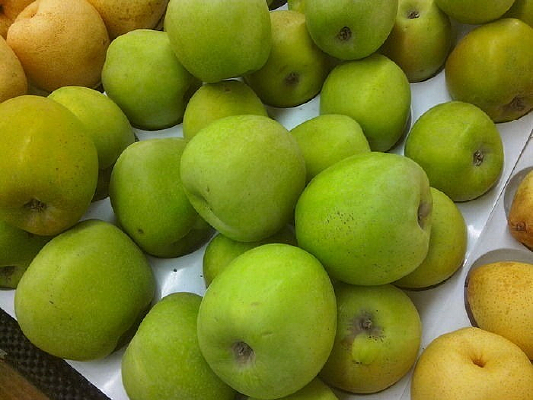 һ����ƻ��