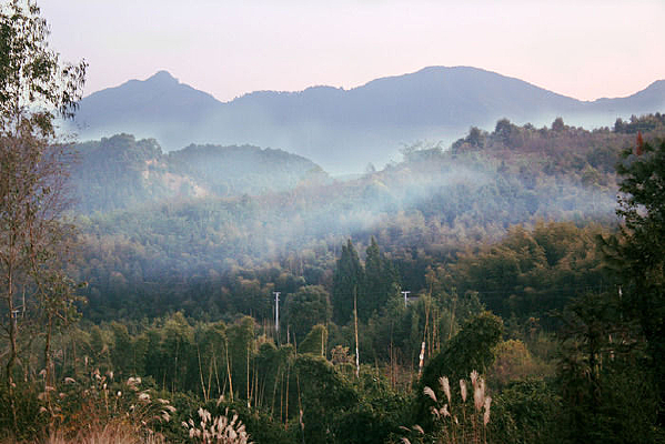 Զɽ��������