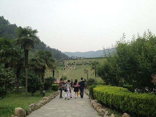 �������ν�