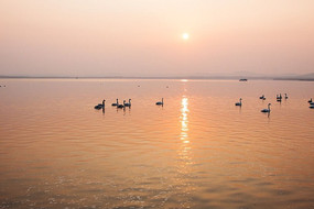 ���ɽ���