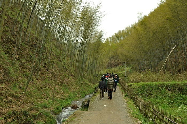 Сɽ����ο�