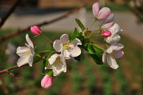 С������