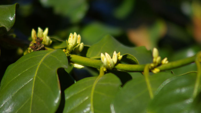 ���ȶ���