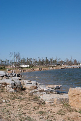 �Ϻ���������