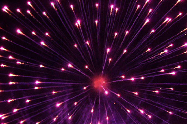 ��ȸ�������̻�