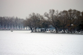 ��������ѩ��