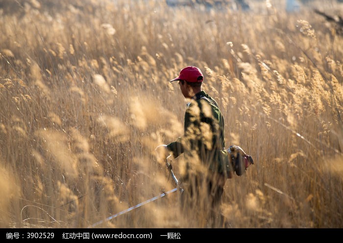 �����ƺ�̲Ϳέ��ͼƬ