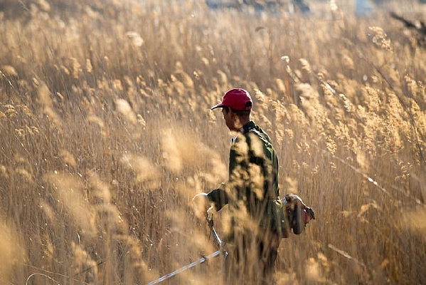 �����ƺ�̲Ϳέ��