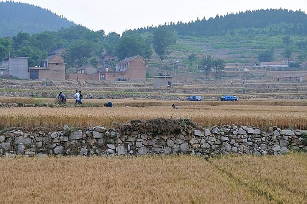 ����ʱ��