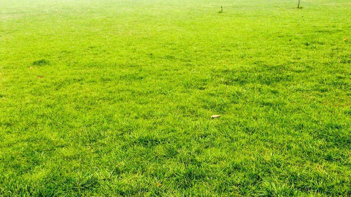 �ݵ�����