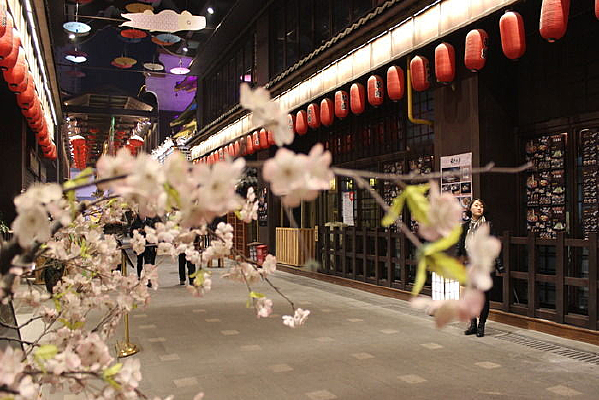 ����ӣ��