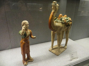 �����ʲʻ�������