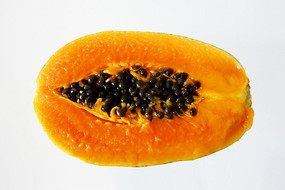 ����ľ��֭