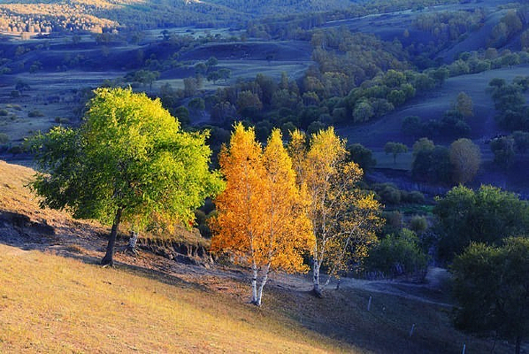 ��������