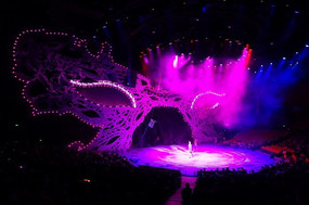 ���ݺ���԰