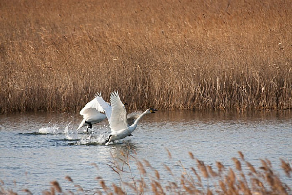 �ƺӿ�ʪ�����