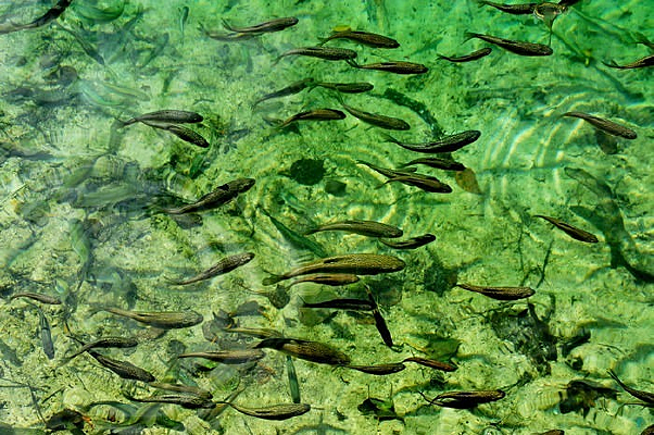 �ζ���С��