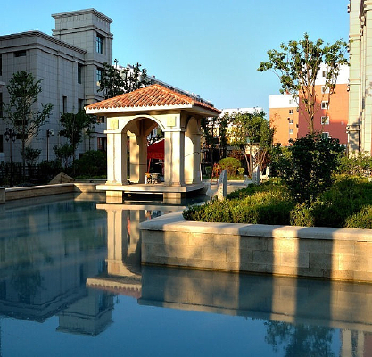 ������ͤ