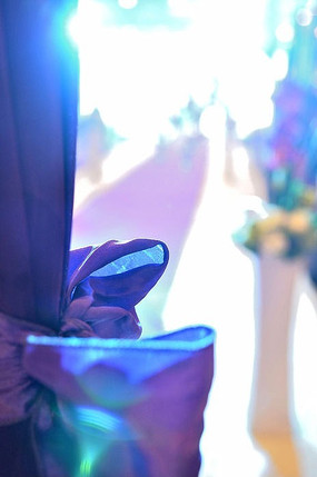 ��ɫ����