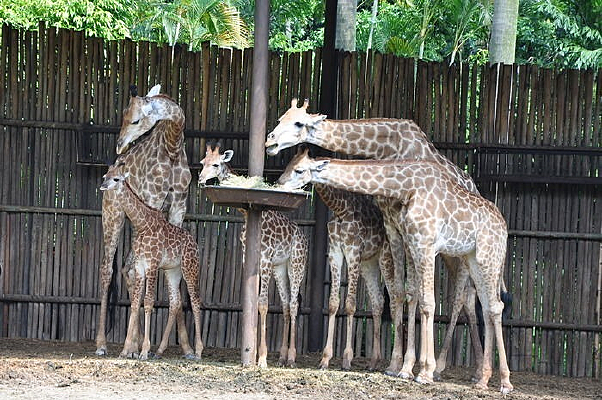 ����¹��һ��