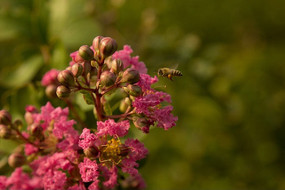 �۷���ޱ��