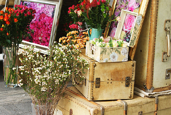 ����������