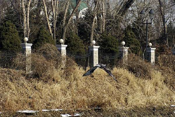 ���ݷ���