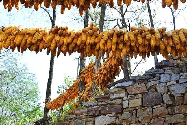 ���յ�����