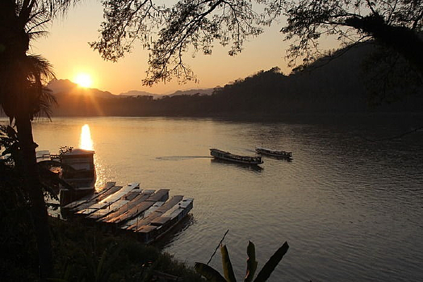 �ع�������