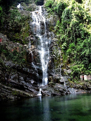 �ٲ�����