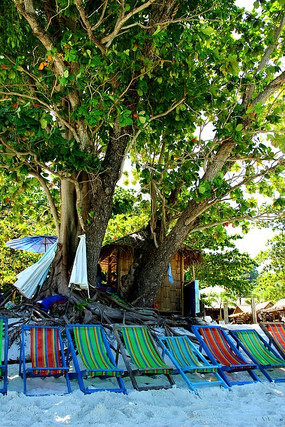 ��ɳ̲����