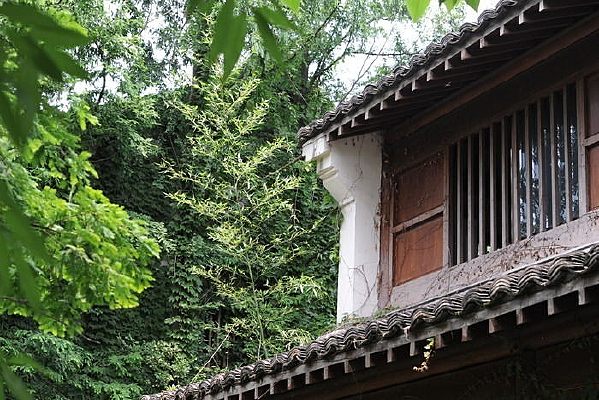 ����ʪ�ط��