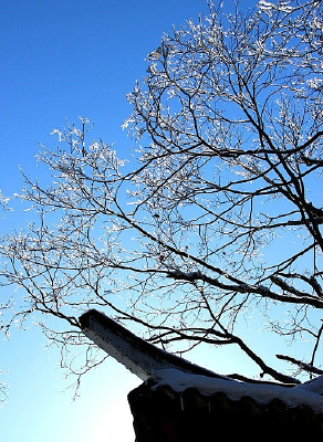 ������ѩɽ