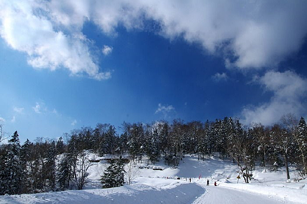 ����Զ��