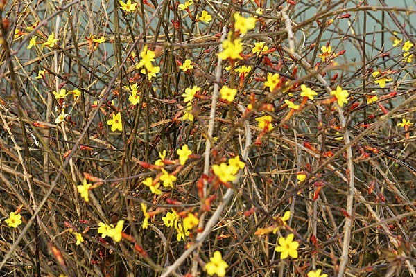 ����ӭ����