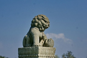 ʨ������