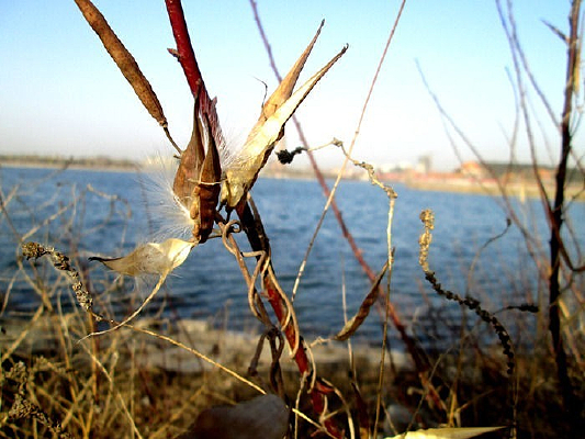 ������ѹ�Ӣ