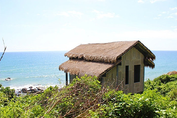 ɽ��é����